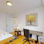 Daire Amazing/sunny 2 Bedroom Flat In The Center