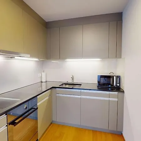 Amazing/sunny 2 Bedroom Flat In The Center Apartament Zurych